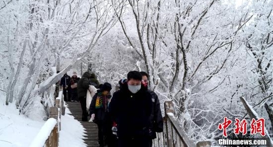 河南老君山雪后玉树琼枝美景如画