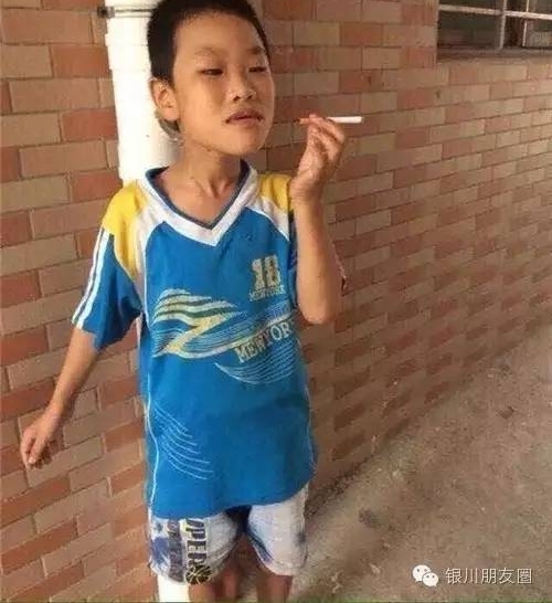 宁夏网红为了蹭热度,打起了警车的主意,盘点2017宁夏网红干的奇葩事