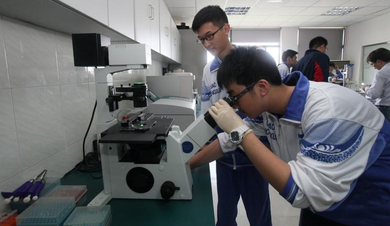 “小数据”里看教育② 新高考元年研究性学习报告超5万份,指挥棒撬动高中教育变革