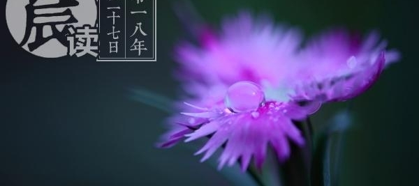���� | ��Ů��ѧ��24�격ʿ��ҵ28��ɸ�Ժ�� |�������о��񽡿�״�����桷����