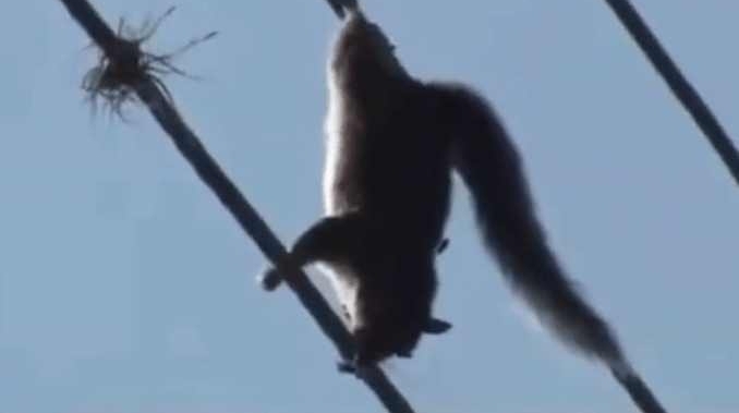 �������ֻ��ĵ�·�ߵĵ������������������󿴵������ֶ���