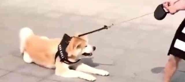 职场培训:为啥培训员工非常激动,到岗位一动不动?这点很扎心!