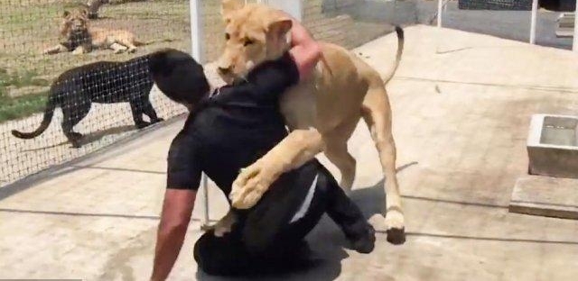 ĸʨ���Լ��ľ��������ط꼤�������Ա������������Ǿ�ϲ