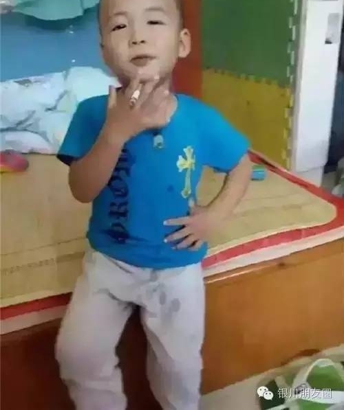 宁夏网红为了蹭热度,打起了警车的主意,盘点2017宁夏网红干的奇葩事