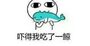 可遇不可求!渔民捕获200多斤月亮鱼 网上拍卖16次拱手相让