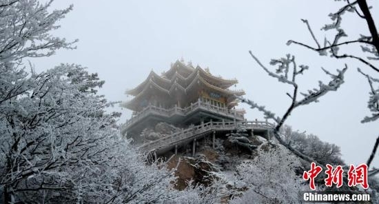 河南老君山雪后玉树琼枝美景如画