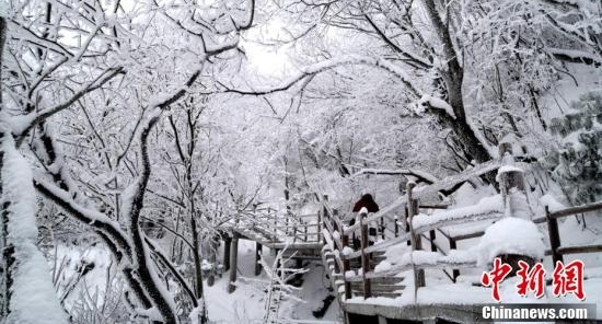 河南老君山雪后玉树琼枝美景如画