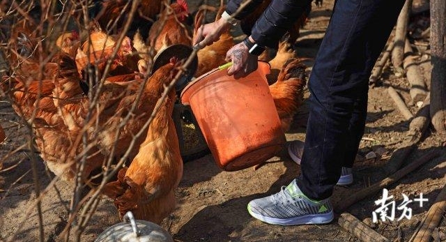 �������飡�� 60 ��������Ա��׼�ؼҹ��꣬���ںͼ����ž���