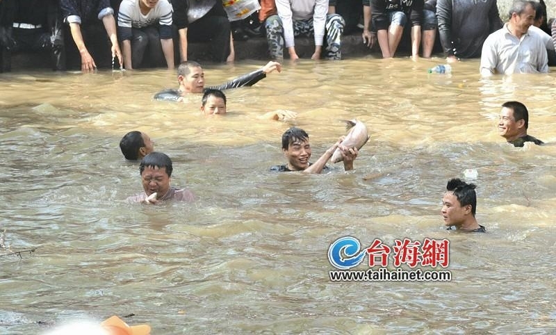 ����ƽ�Ͳ񴬴�����������3000��һ����ץ��