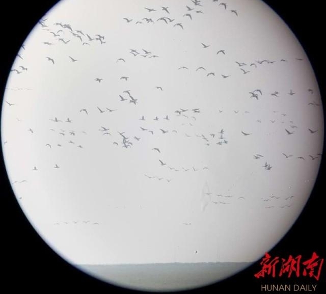 谁是湿地上最可爱的人