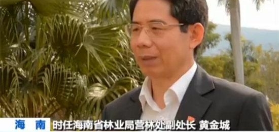 【新春走基层·幸福都是奋斗出来的】陶凤交和她的绿色娘子军