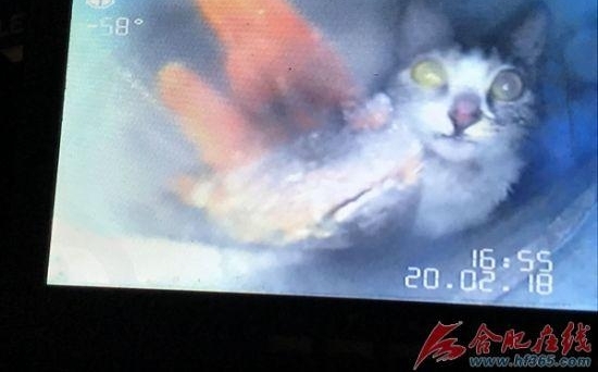 �����ڼ�Ϸ���������29�� ������Щ�£�