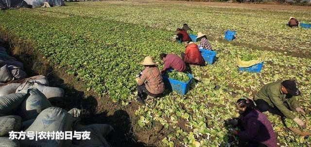 ũ�廯��ƭ���ٳ����У����һ��Ҫ�����۾�ʶ�𣬲�Ҫ���ϵ��ˣ�