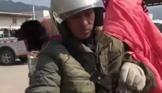 �ͳ���׼Я�����ũ����Ħ�д����ؼҹ��꣬����Ц�ĺ���