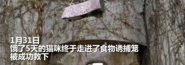 Сè���߼������꣬68���ү�������ι�������Ŷ���ʳ������è�䡭��