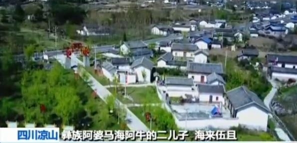 新春走基层丨彝族三兄弟毕业后回乡扶贫乡亲生活改变看得见