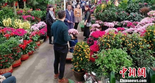 春节临近年味渐浓 西安民众花市购“浪漫年货”