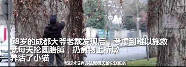 Сè���߼������꣬68���ү�������ι�������Ŷ���ʳ������è�䡭��