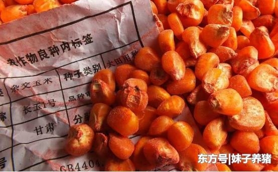 ũ����һƭ�֣���ũ�����С�ģ����������˶�