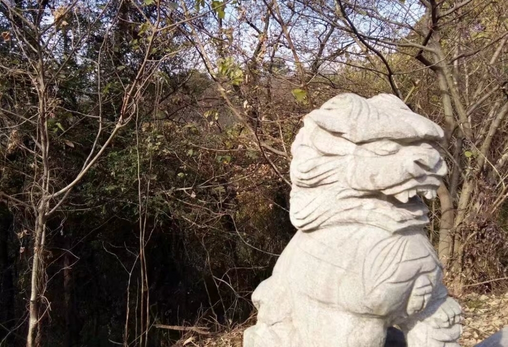 继母将继女带进山谷里,扔下继女就走,结果被滚落的石头砸死