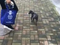 ����װȳ���벩ͬ�飬����������һ�ź�������ʵ��·