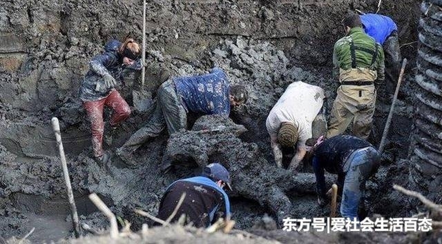 男子在家挖泳池,意外收货的东西,所有人能看呆了