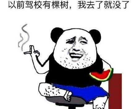 考张驾照到底有多难?这些困难可都摆在想要考驾照的你面前!