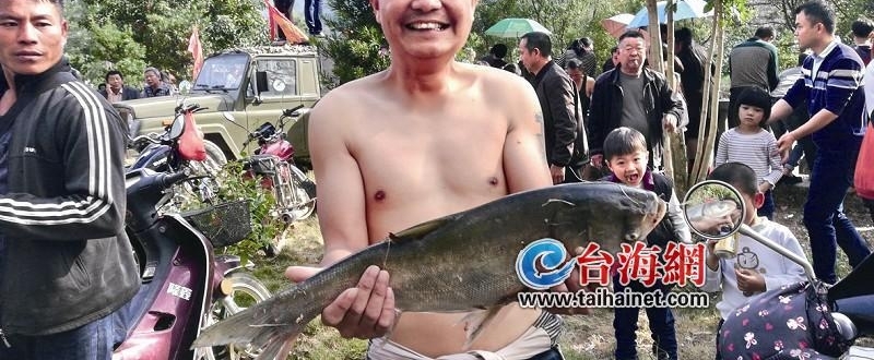 ����ƽ�Ͳ񴬴�����������3000��һ����ץ��