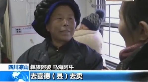新春走基层丨彝族三兄弟毕业后回乡扶贫乡亲生活改变看得见