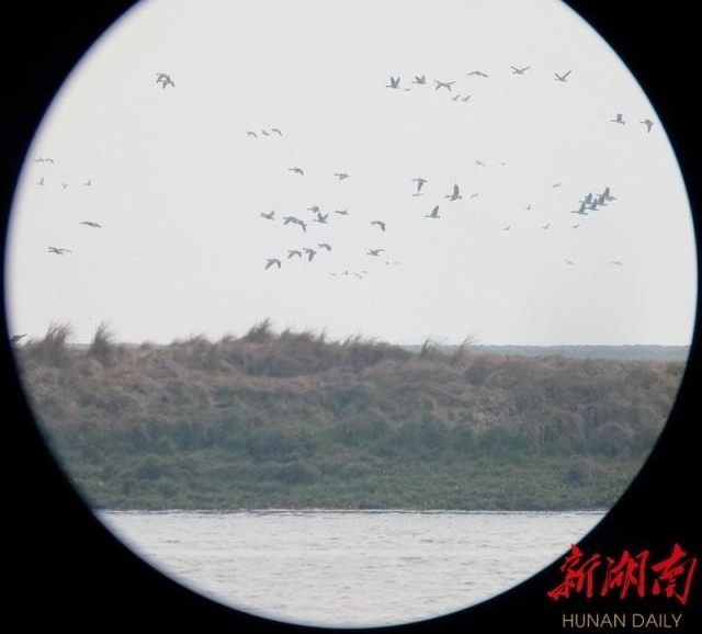 谁是湿地上最可爱的人