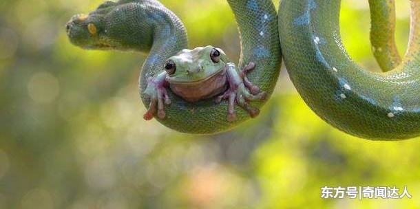 ������Ҳû�г����ܣ���Ϊ�����ѣ�
