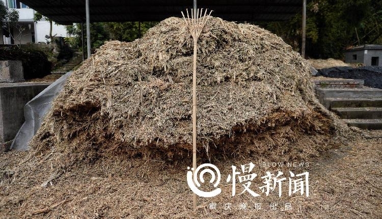 ������Ȩ���Ǵ壬������������100����