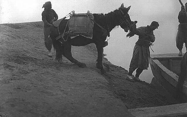 1934�꣬���������ù�֮��