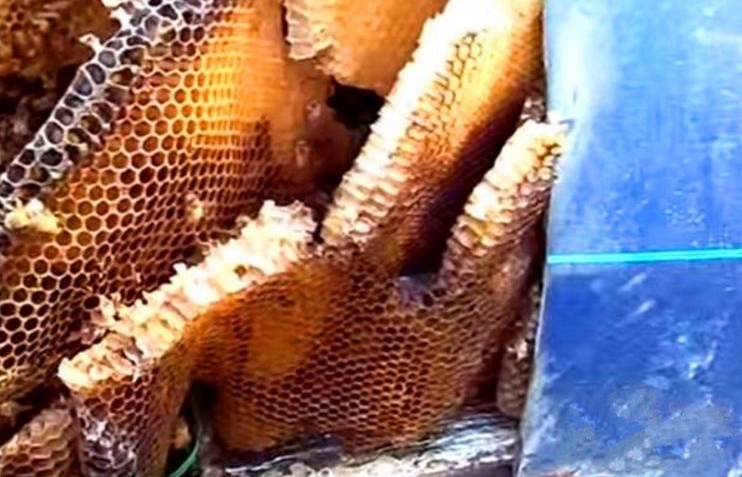 ���������������Ǵ������������𿪲鿴������ʮ�ֺ���