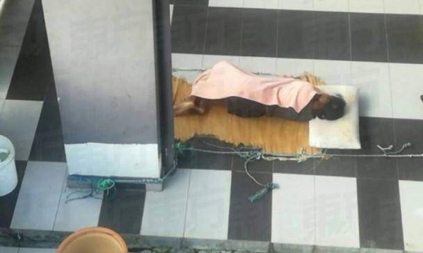 21岁女佣被雇主残忍虐待 被迫与狗同住