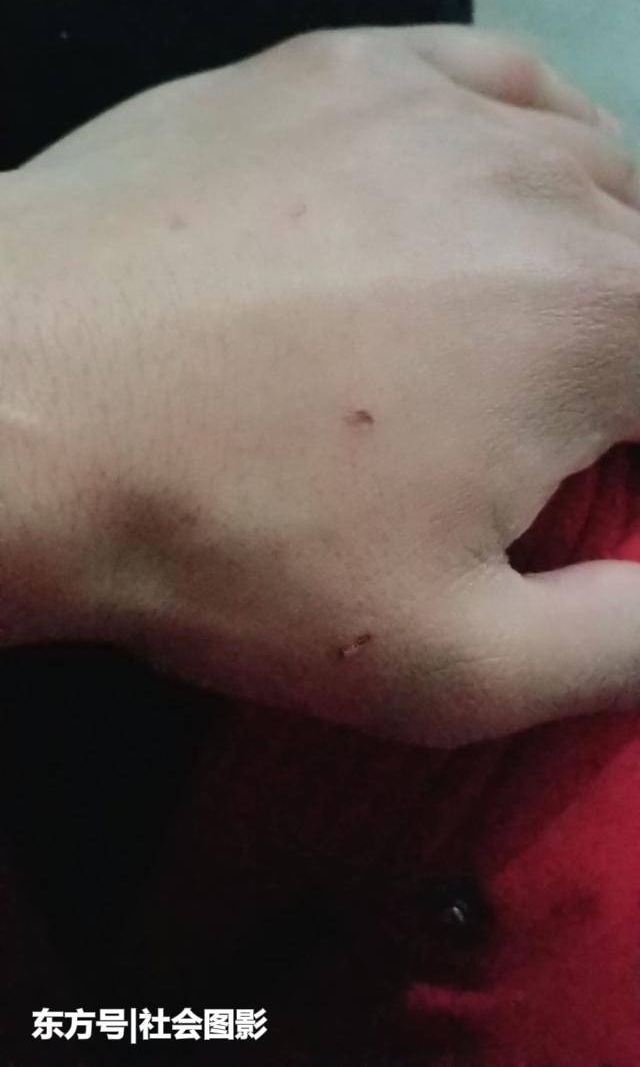 �޹���? ũ��С����껨600�����̻�, ��ϱ����ܼһ�ץ��