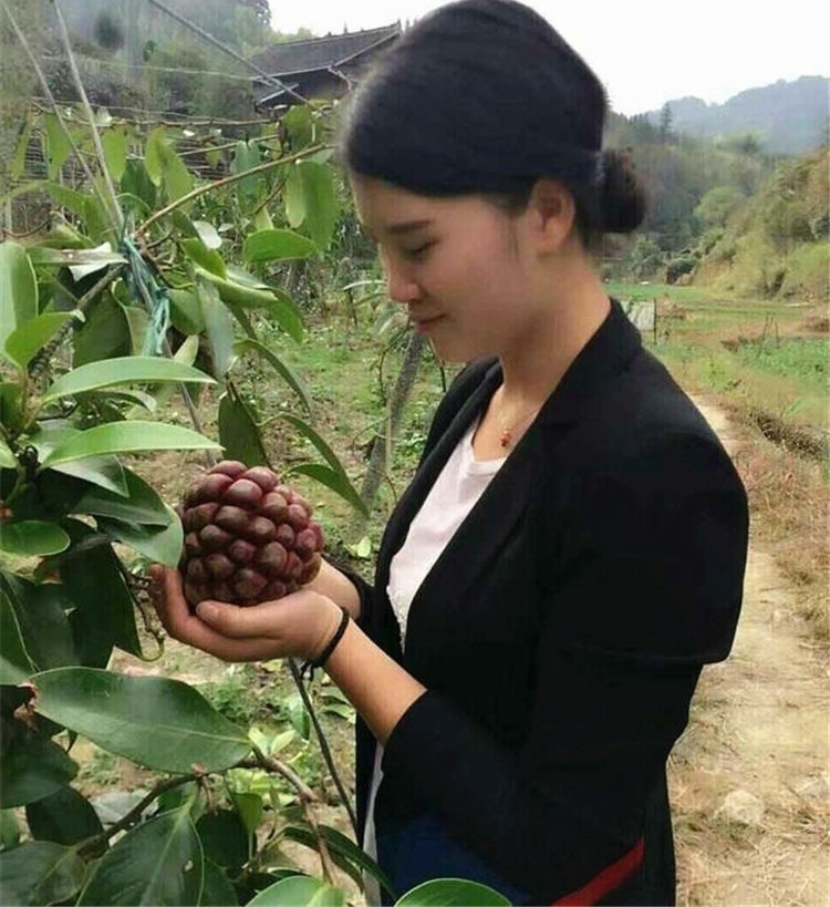 ����ˮ���ųơ���Ʒˮ�������г�����������ũ���������֣�