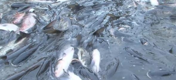 ��Ϊ��֪�Ĵ����߷��궬�������߿���ר�̵������� ͼ����ζ��