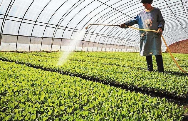 未来在农村,最不值钱的是房产和土地,农民朋友知道什么值钱吗?