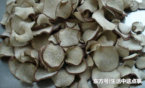农民以前天天吃的野菜野果,摇身一变成为城市人的心头好!