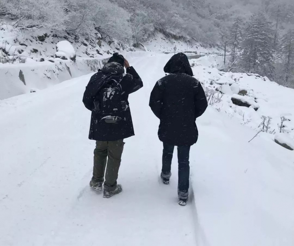 ����Ϊ���й��������ɣ�û�뵽��������Σ�գ�