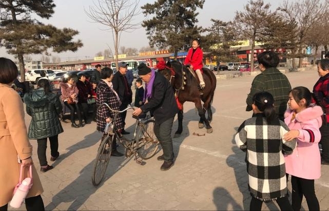 6旬老人景区里骑自行车牵马溜娃,心惊胆颤体验者仍络绎不绝