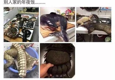 ��һ��ǿ�Ʊ�ҥ������������