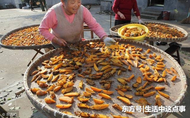 农民以前天天吃的野菜野果,摇身一变成为城市人的心头好!