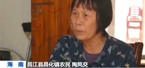 【新春走基层·幸福都是奋斗出来的】陶凤交和她的绿色娘子军