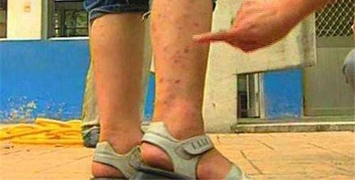 ����Щ����۸������ˬ��ֻ��ũ����������ˣ�����ë���Ȼ��