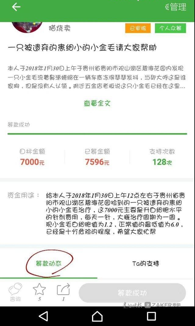 寒风中贵阳街头发现的被弃小狗 带着全国 131 位网友的爱离开了