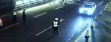 �Ƽݶ�����֤��ʻ �������˾���������ˡ���