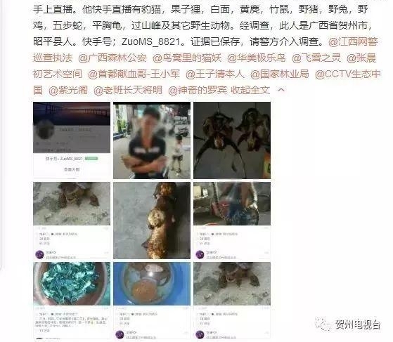 作死!广西一男子直播炫耀自己捕猎的野生动物!