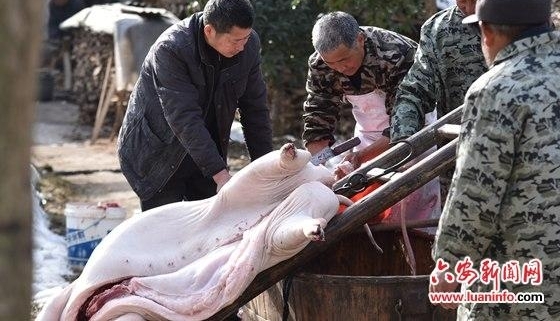 年味如花 浓浓绽放